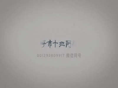 梦幻天堂龙网720p十三刺客